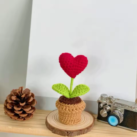 Heart Plant™ Szydełkowa Roślinka w kształcie serca
